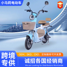 �羳С�����¿�綯��������ƿ���綯���г�����logoE-bike�絥��