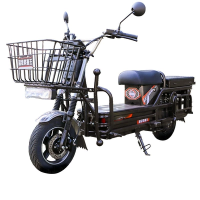 Auto Parts and Accessories — Motuoche Cargo Tricycle