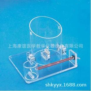 Kay-Lv8 Surgical Knotting Skills Training Model Clinical Skills Training Model Knotting Training Model