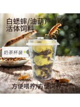 �̲豭��������ʳ������֩�������~���B�ͺ��J���л��w�������