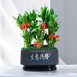 �����߸��F��ֲ��͏d�D�\�Gֲ�����k���҃�������B�辰�ļ�����