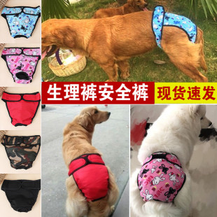 Pet Dog Physiological Pants Female Dog Menstrual Period Underwear Female Golden Retriever Large Dog Summer Thin Sanitary Pants Menstrual Pads