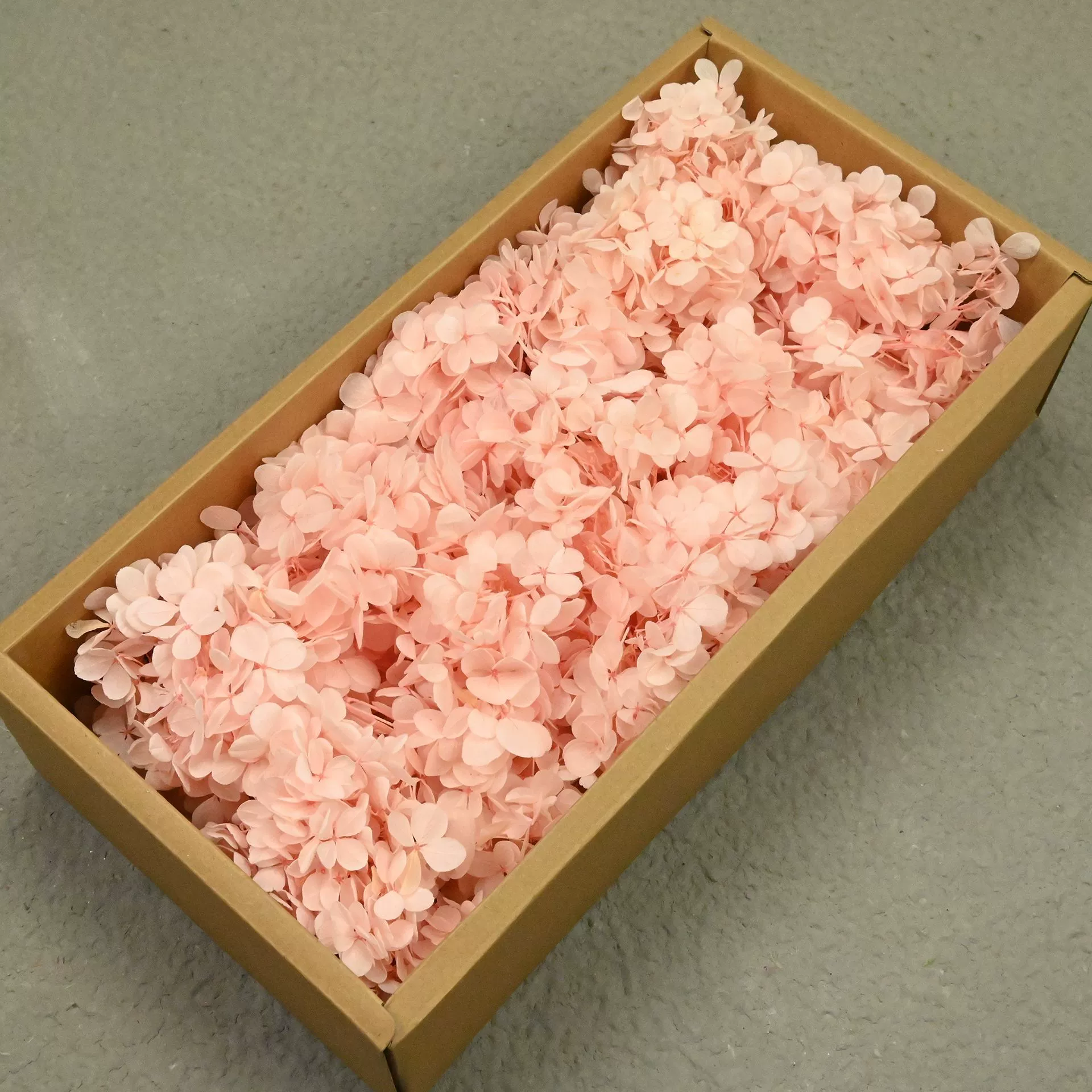 Грандиозная фиксация AB grade древесная гортензия 100 г день рождения настоящий цветок материал DIY материал сухоцвет украшение подарок девушке