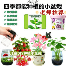 �ϼ�С���r���ԾGֲˮ��Ȥζ�Nֲ ֲ�����L�^��Nֲ�[���ļ��߹�