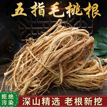 ��ָë���������Ҝ����ϰ���ָë�Ҹ��t�����߲���؛��؛