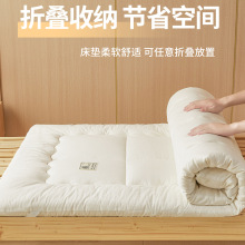 a类新疆棉花床垫软垫学生宿舍榻榻米纯棉床垫子加厚床褥铺底批发