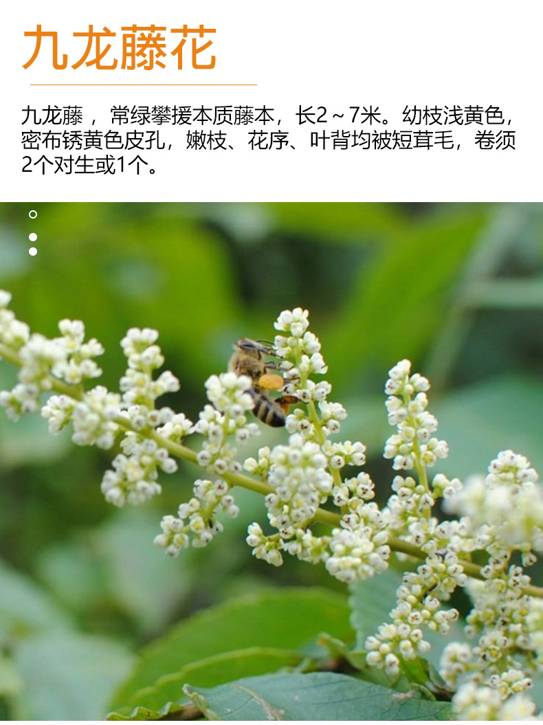 O1CN01vBXQoo2LcbzIqRSZq_!!2212521769713-0-cib.jpg?__r__=1729480085588