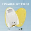 Fluorescence, 300W