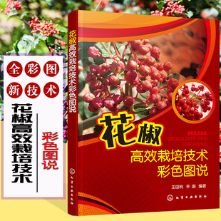 ������Ч���༼�g��ɫ�D�f ������ ������ľ�����������x�����Ε�