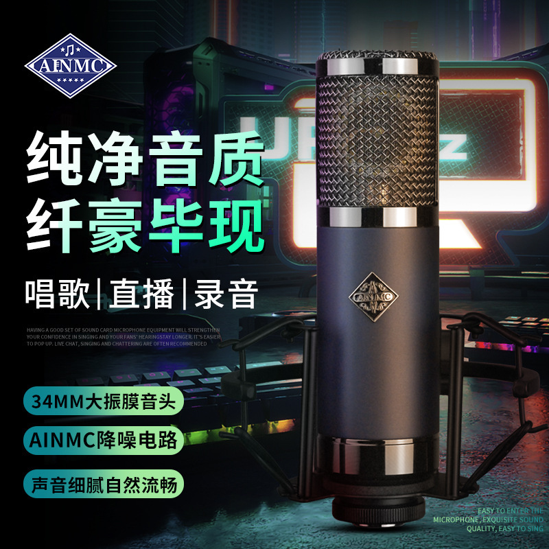 Ainmc Tf11 Large Diaphragm Condenser Full-Range Microphone for Computer Streamers, Live Broadcasts, Rapping, Singing, and Recording Vocal Tracks