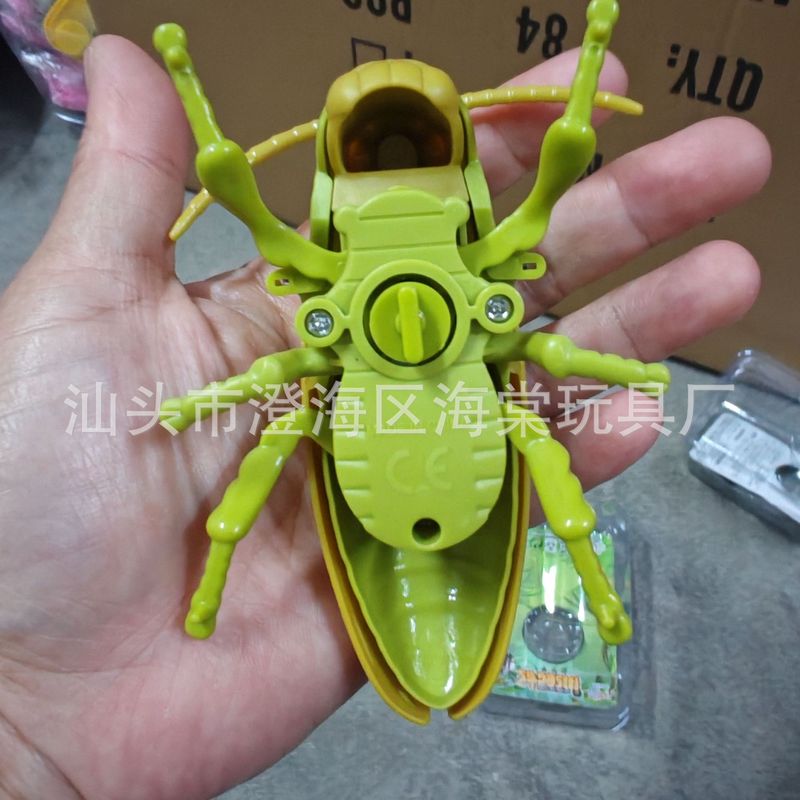 新款上链发条昆虫动物儿童认知小动物蚂蚱仿真模型独角仙小玩具|undefined