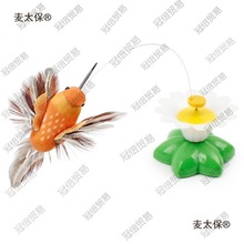 ������� ������w�������늄�؈������D��؈���w��С�B��̫��