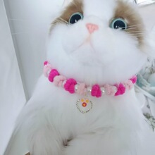 ��ƷëȦ�� ������ ������  ؈���� ؈����K�R����ɫ�