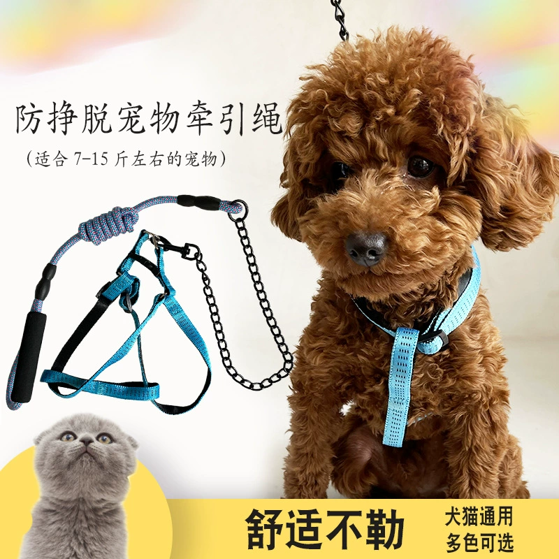 Нагрудный ремень с защитой от укусов I-образный поводок для собак, поводок, веревка, цепочка для маленьких собак, плюшевый мишка