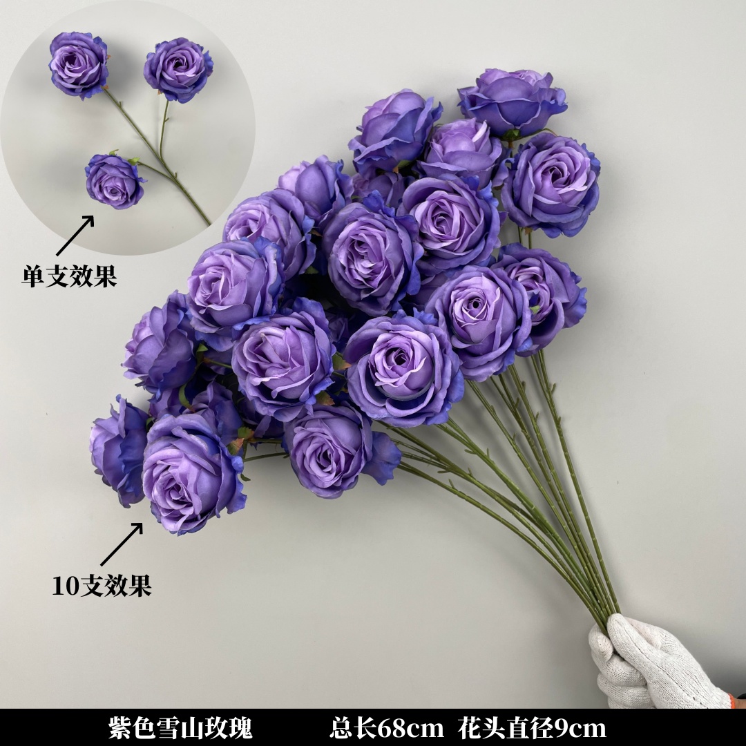 검은 보라색 눈 산 장미