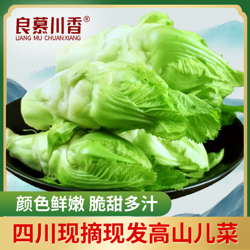 四川新鲜儿菜抱子芥抱儿菜泡菜原料脆嫩鲜蔬菜现摘现发高山娃娃菜