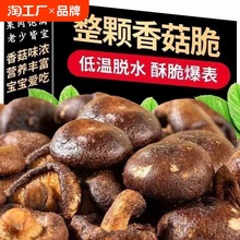 黑松露香菇脆蘑菇脱水蔬菜干非油炸菇脆香菇干即食零食整箱批发