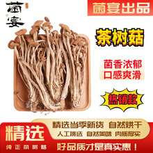 福建古田农家好品质茶树菇煲汤炖汤菇鲜味美新鲜好食材干货农产品