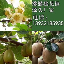 Դ�^�S�����l�J�����˹��ڷی��ø߻��ۻ���