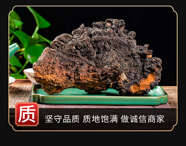 Chaga Mushroom Powder (Inonotus obliquus) — Wild Northeast Birch Chaga, 500g key features