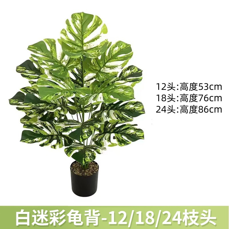 白迷彩龟背 / 12叶高约63cm【不带黑盆】