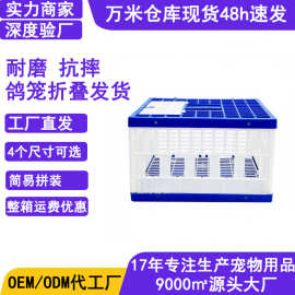 鸽笼放飞笼训放笼折叠拼接塑料训鸽子笼子赛鸽信鸽用品鸟笼鸽具