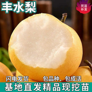 һ�����l�Sˮ������ϱ�������ͥԺ�Nֲ�ش�����Լ޽����������