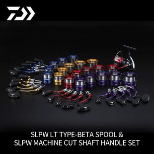 �_��24�¿�SLPW LT�ٸĲ�ɫ�����u�����輏܇݆�㲿�����