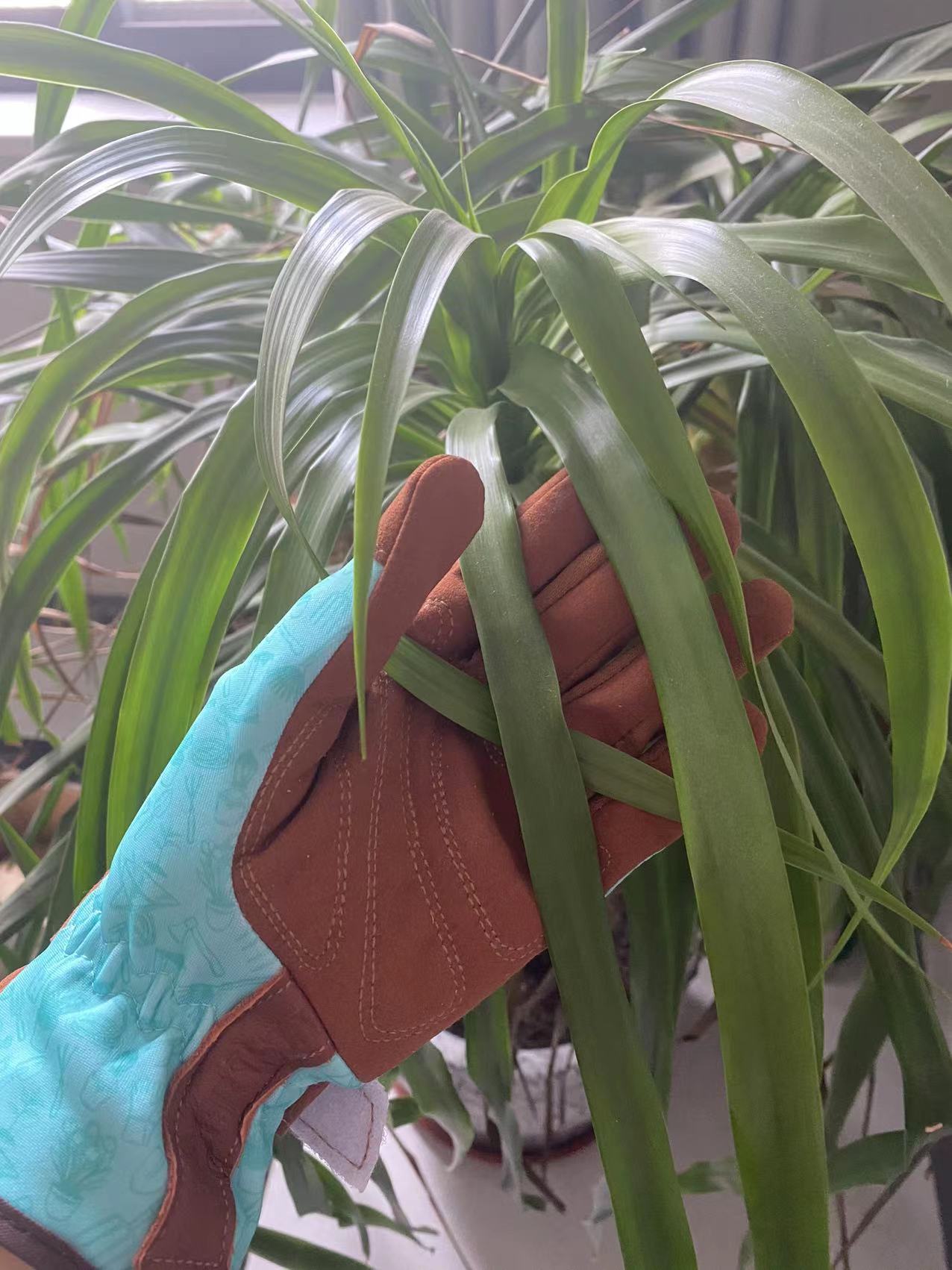 Anti stick med nytt designmönster, stötsäkra handskar, mikrofiber, elastiskt tryckt tyg trädgårdshandskar_voghion.com