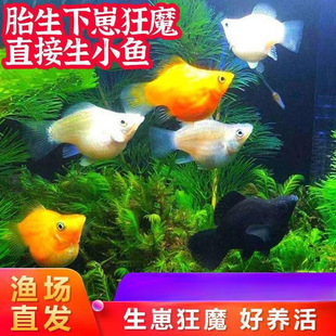 ��ȸ�~̥���~�������~ֱ����С�~���B�Ꭷ�~���̟Ꭷ���ֺ��B