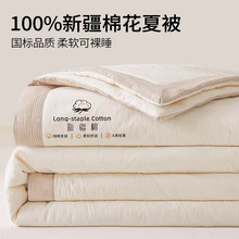 A类100%新疆棉花被纯色夏凉被学生宿舍纯棉空调被全棉夏被可机洗