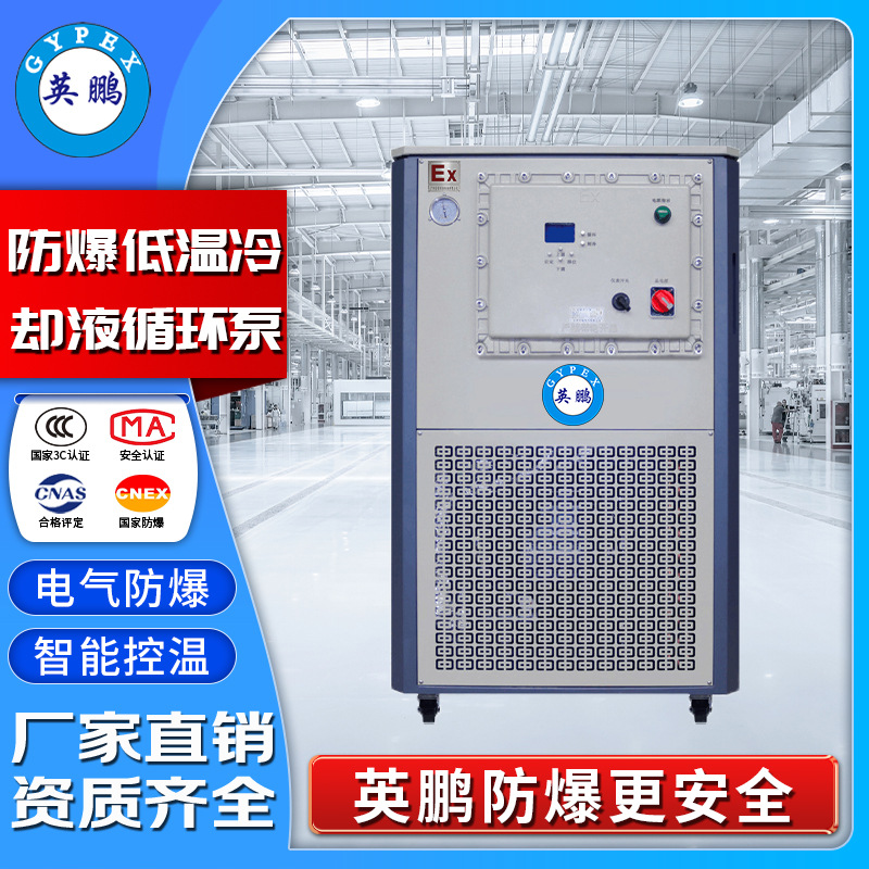 英鹏防爆低温冷却液循环泵EXGD-YP30-DL10/30超低温实验冷水机
