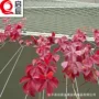 时间定制墙体不锈钢绳网