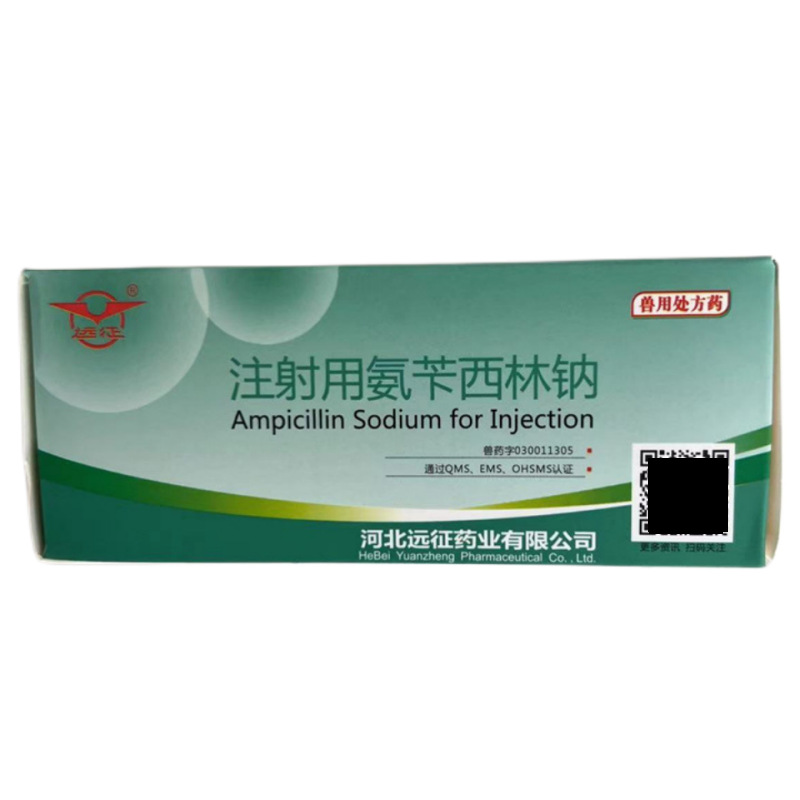 远征氨苄西林钠主图5