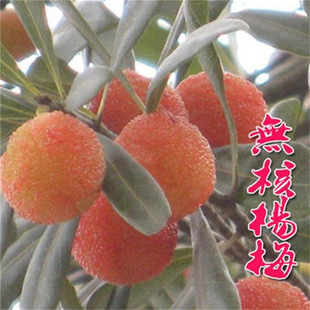 ���~���|����÷����ݩ�j��̿��÷���������t���ϱ��������玧��