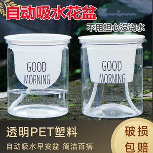 Lazy flower pot automatic absorbent green radish hydroponic utensils Nordic simple plastic transparent orchid flower pot special offer free shipping