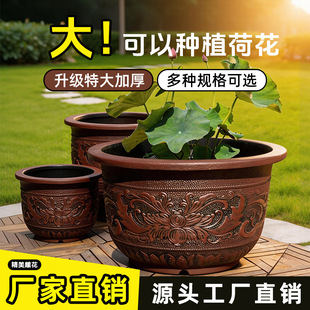 �ش�Ӻ����ɰ��֬����@��ͥԺ��ľ�Nֲ����˯ɏ�ɻ��B�~���ø�