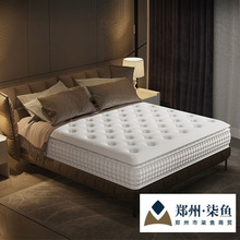 [���Ǽ�]ԭ�b5cm���zϯ��˼�Ƶꪚ�����ɴ��|1.8�׺��A��ܛ�|