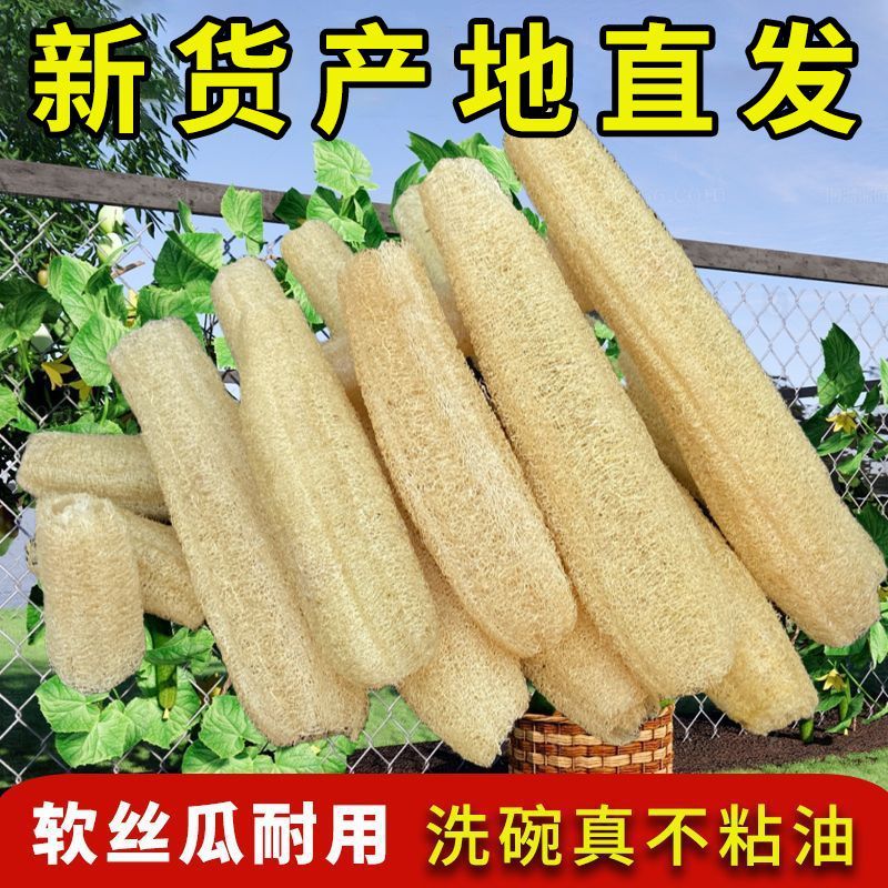 천연 자연건조 수세미 과육 [수세미 30~35cm 1개] 통뿌리
