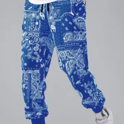 Vintage style paisley pattern street pants, men's side pocket elastic drawstring sports pants, jogging pants, casual Vintage style paisley pattern street pants, men's side pocket elastic drawstring sports pants, jogging pants, casual