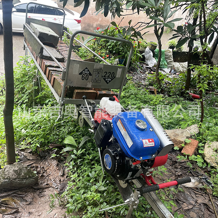 Cargo Materials Fully Automatic Small Loading Transport Aircraft Mountain Climbing Orchard Crops Loading and Unloading Monorail Transport Truck