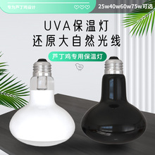 Ju؟СurȡůӜ؟Bֳ؜ؼӟ