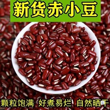 2024�|���³�С��250g�r���L���t�ඹ�t��޲��������s�Z�ּZɢ�b