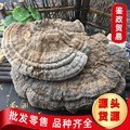�a��؛Դ�����`֥��؛�����֥ɢ�b��ţ��֥G