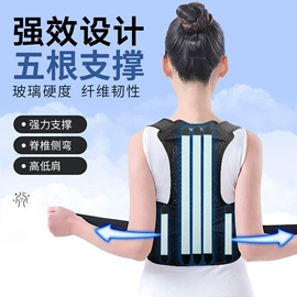 形体矫正器;运动护膝;护腰