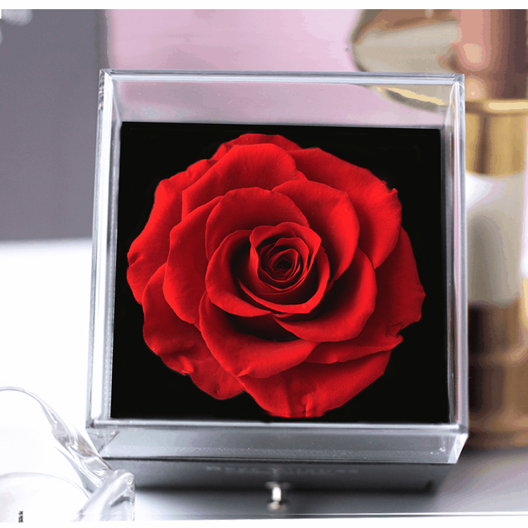 永生花成品真花項鍊首飾盒巨型亞克力玫瑰花花盒聖誕節禮物批發