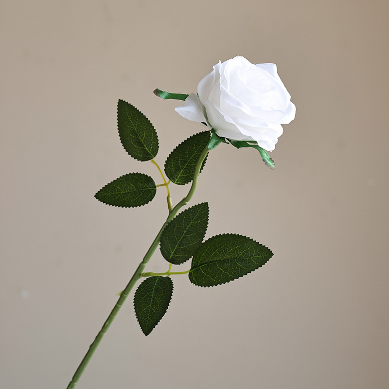 순수한 흰색 녹색 극