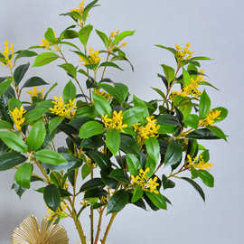 手感胶片布仿真单支桂花 桂花叶白色黄色 桂花树装饰假树叶造景