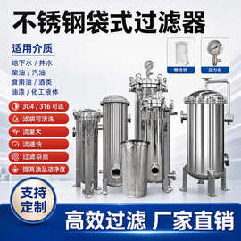 不锈钢双联袋式过滤器精密串并联井水白酒食品化工液体过滤设备