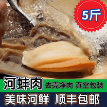 河蚌肉新鲜5斤淡水特大蚌壳鲜活大蛤蜊去壳净肉冷冻生鲜顺丰